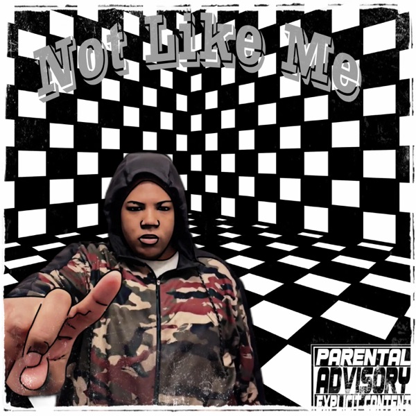 Cover of Not Like Me - Single