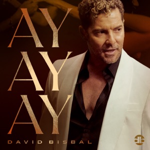 David Bisbal - Ay, Ay, Ay - 排舞 音乐