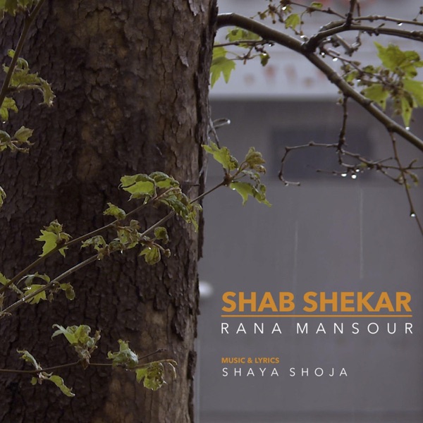 Shab Shekar (feat. Shaya Shoja)