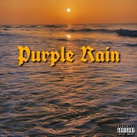 Purple Rain (feat. Roadrunner Costa & Ryan Bancroft) - Single - CM4CAP
