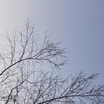 sewn up my mouth - Single