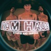 Stupid and Famous - Single