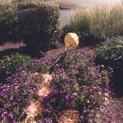 perishh (feat. Conspiquo) - Single