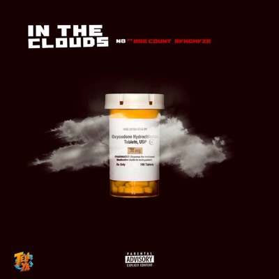 In the Clouds (feat. BSE Count & Bvng Hvze) - Single