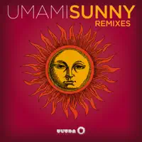 Sunny (U So Witty Remix)