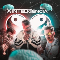 Inteligência - Single - Mc WL da V