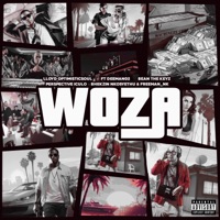 Woza (Extended Version) [feat. DeeMan O2, BeanTheKeyz, Bhekzin Nkosyethu, Perspective Iculo & freeman Nk] - Single - Lloyd OptimisticSoul