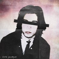 I Hate Goodbyes - brayo