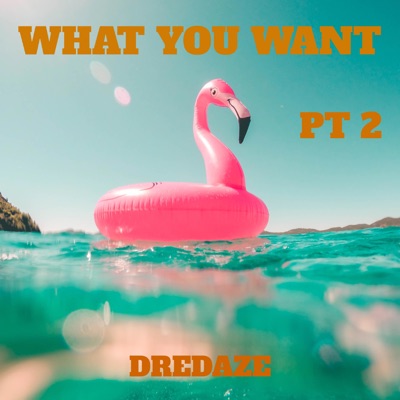 What You Want Pt. 2 - Single