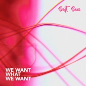 We Want What We Want artwork