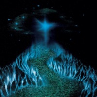 Search 4 Clarity - Single - sk3tch