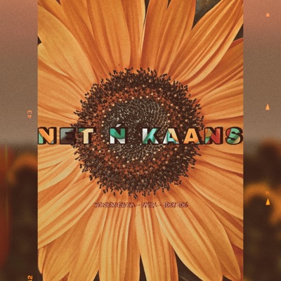 Net n kaans (feat. Joey Joe & Zahir) - Single
