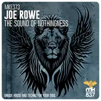 The Sound Of Nothingness — Joe Rowe