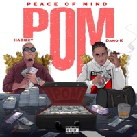 Peace of mind (feat. Damo K) - Single - Habizzy