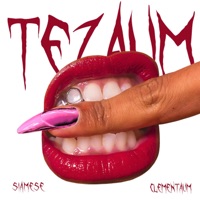 Tezaum - Single - Siamese & Clementaum