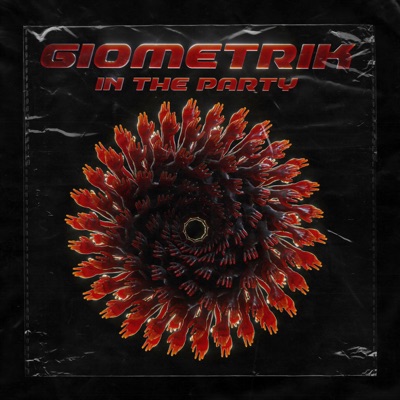 In the Party - Single