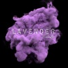 Lavender - Single