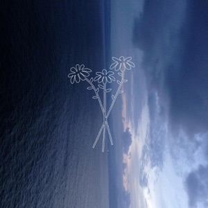 daisy (Radio Edit) - Single