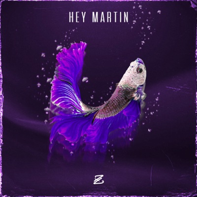 Hey Martin - Single