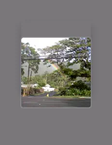 Listen to slowcure, watch music videos, read bio, see tour dates & more!