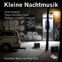 Divertimento - Single - Nino Díaz, Paqui Santana & Radovan Cavallin