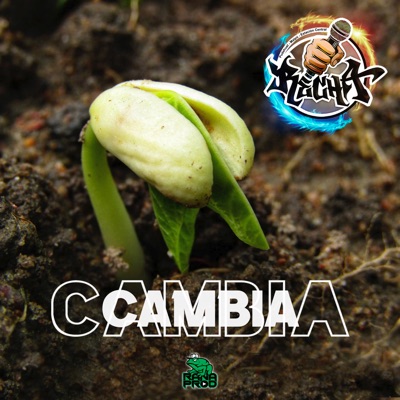 Cambia - Single
