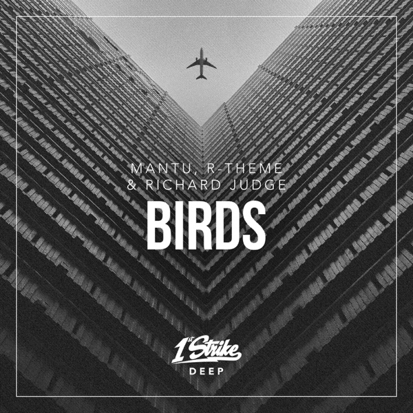 Birds - Single