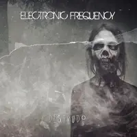 Why — Electronic Frequency