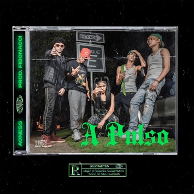 A pulso - Single