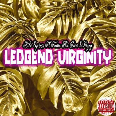 Ledgend Viginity (In It 2 Win It) (feat. Fame Tha Don & Pozeg) - Single