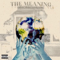 The Meaning (feat. Amika Hudson) - Single - Zboy the Man