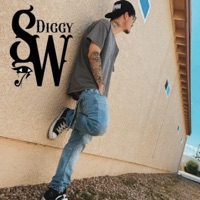 Big Ready - Single - Diggy SW