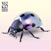 ES cover