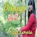 Dinggo Bukti