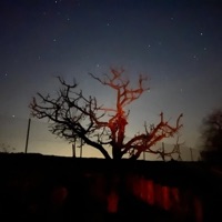 Jak se zdá - Single - _RADY_