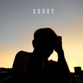 SORRY artwork