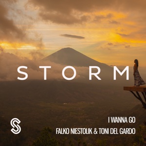 I Wanna Go - Single