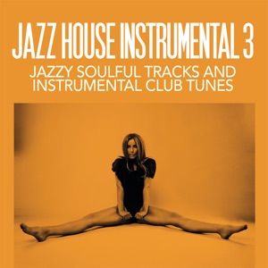 SOULSTANCE, JAZZ 2 MORE