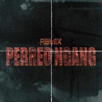 Perreo Ngang rmx (Lad Beet, Brandon Nava, Krack Martinez & Aleex Drost) (Remix) [Remix] - Single - Aazael Ngang