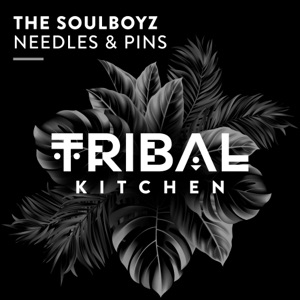 THE SOULBOYZ - Needles & Pins - Line Dance Choreographer