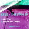 Wrongful Doing cover art