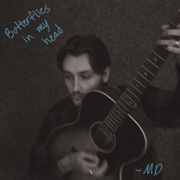 Butterflies In My Head - Mark Diamond