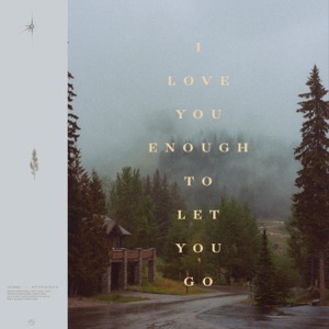 I Love You Enough To Let You Go - Single