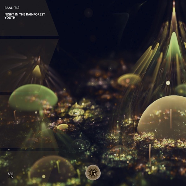 Night in the Rainforest - Single