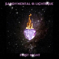 First Night - Single - Sandy Mental & Lichtboje