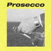 Prosecco (feat. Sânziana) - Single - Ender
