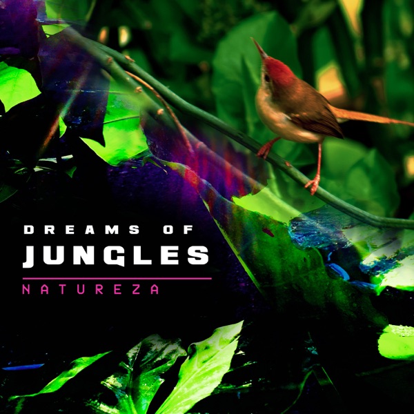 Dreams of Jungles