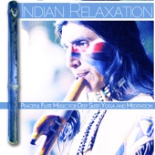 Indian Relaxation: Peaceful Flute Music for Deep Sleep, Yoga and Meditation artwork