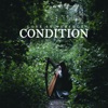 Love In Perfect Condition - Single