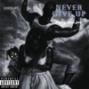 Never Give Up (feat. Steven Zaire) - Single